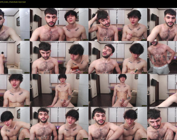 teddy_mode