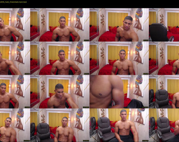 teddyfit19cm
