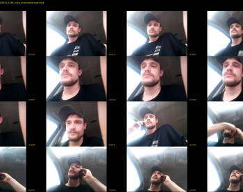 3337cockstrong