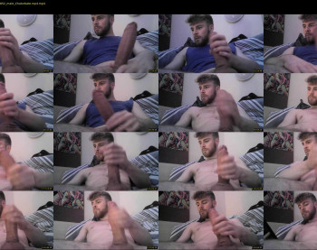 mattadorgn