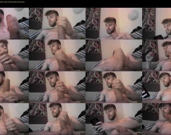 mattadorgn