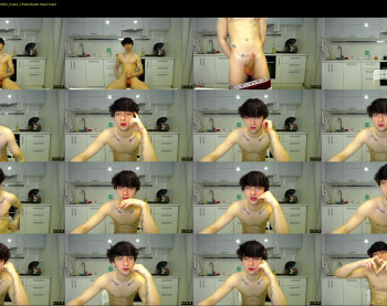 teddy_mode
