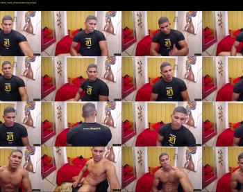 teddyfit19cm