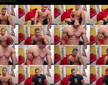 teddyfit19cm