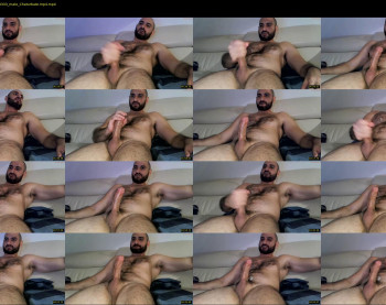 wolfdudefun