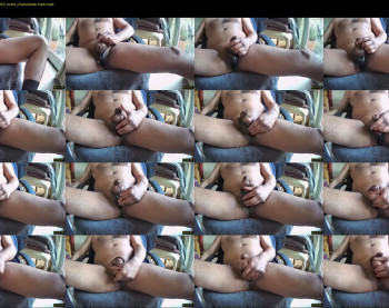 myster_fox