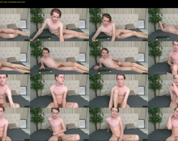 sam_demis