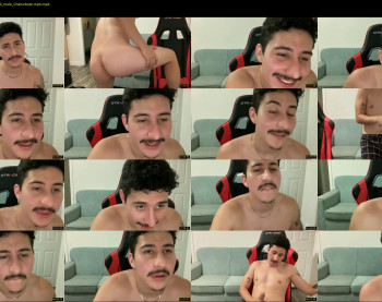 stachboy
