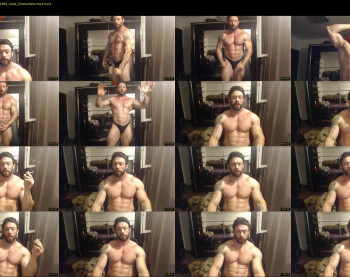 stevebulkzor