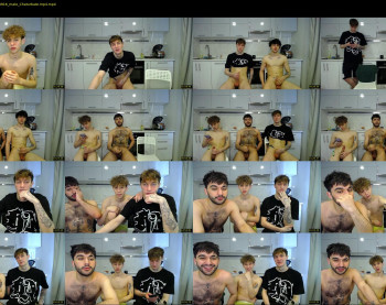 teddy_mode