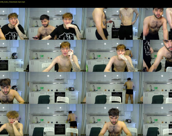 teddy_mode