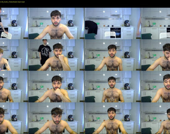teddy_mode