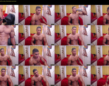 teddyfit19cm