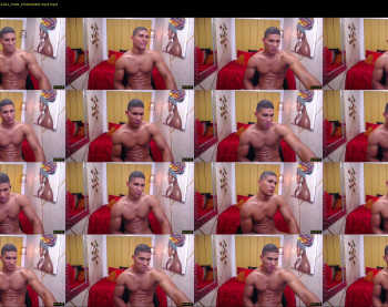 teddyfit19cm