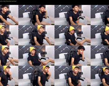 austin_falcon