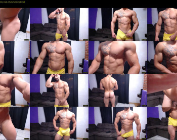 bestmuscle