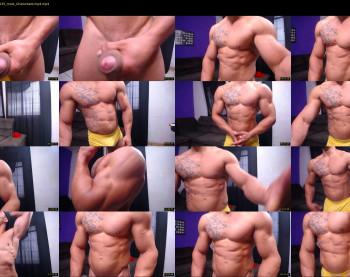 bestmuscle