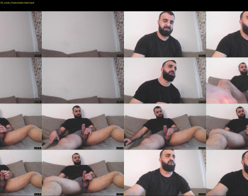 djefri_bear