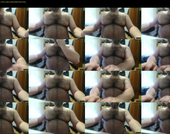 mikeyhotbear