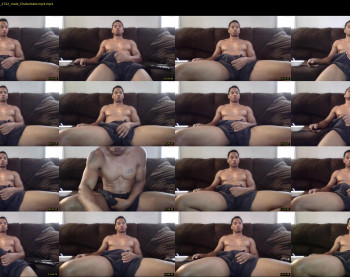 sharkdickwilly
