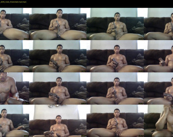 sharkdickwilly