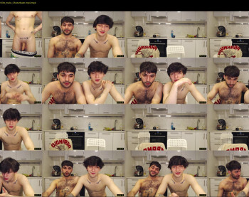 teddy_mode