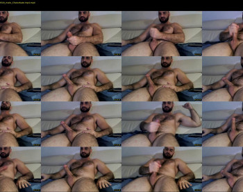 wolfdudefun