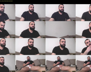 djefri_bear