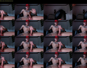 dominickwild
