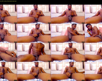 lebron_ice_cock