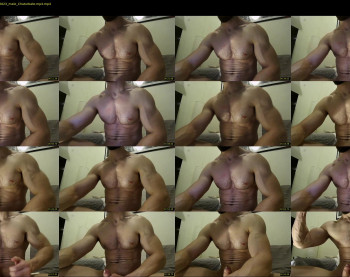nick_thestud
