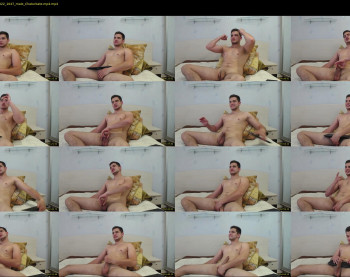stivenhot_horney