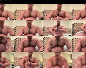 bearjocknwdc