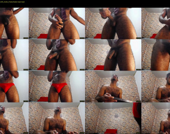 ddly_donato