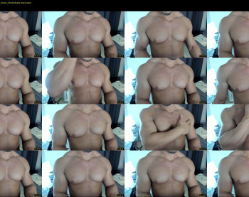 flex_x_x
