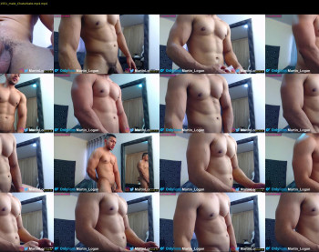 martin_logan
