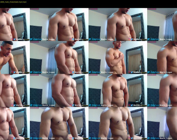 martin_logan