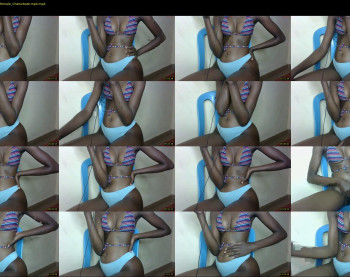 _sassie
