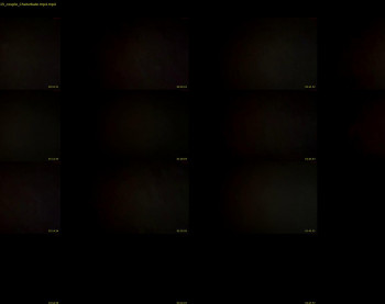 adr0810