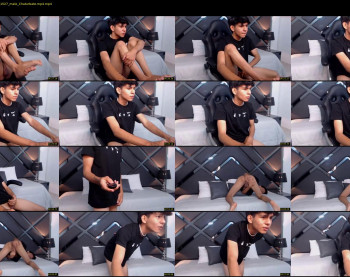 austin_falcon
