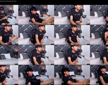 austin_falcon