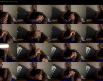 bbc_tonymontana