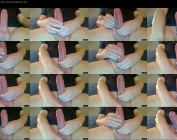 michaels_cock
