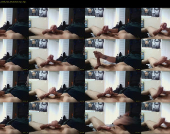 pleasuredom4