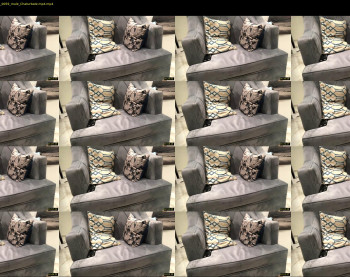 saudi_arabia7