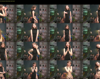 silk_geisha