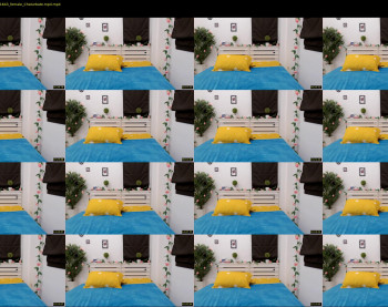 thaidream25
