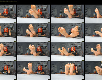 tina_commands