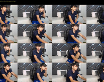 austin_falcon