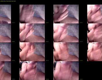 stefs_dick